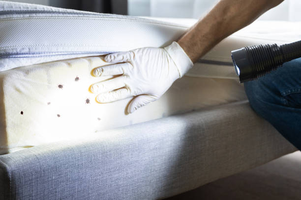 Best Pest Removal Services  in Niles, OH